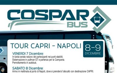 Tour Capri – Napoli